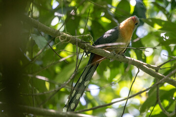 1N7A0126.CR2