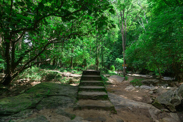Obraz premium Serene Waterfall Trail in Chiang Mai Jungle, Thailand