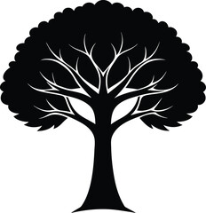 Obraz premium Black silhouette of a deciduous tree with intricate branches isolated on transparent background silhouette