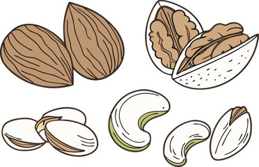 Mixed Whole Nuts Set Illustration. Assorted Whole Nuts Collection. Realistic Mixed Nuts Drawing. Healthy Whole Nuts Design. Nut Set with Shell Artwork. Organic Mixed Nuts Bundle. Various Edible Nuts