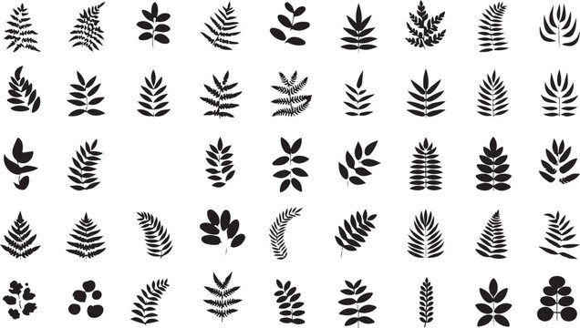  Botanical silhouette collection with ferns, leaves, and abstract plant motifs, intricate detailing, and dynamic symmetrical arrangement