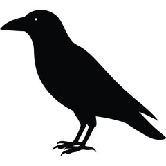 Fototapeta premium Flat vector illustration of a crow silhouette vector illustration