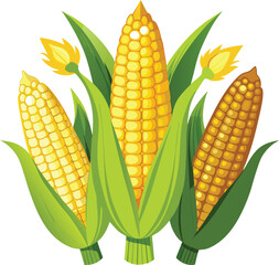 Obraz premium Three ripe ears of yellow corn with green husks and tassels