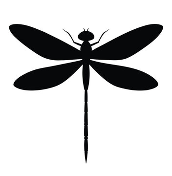 Flat vector illustration of a dragonfly silhouette vector illustration