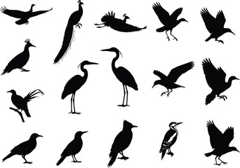 Obraz premium Collection of diverse bird silhouettes in various poses including flying standing and perched against a white background