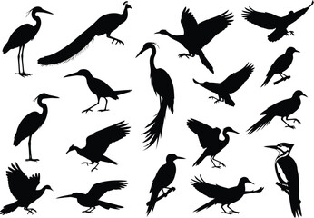 Fototapeta premium Collection of diverse bird silhouettes in various poses and flight styles on a white background representing nature and wildlife