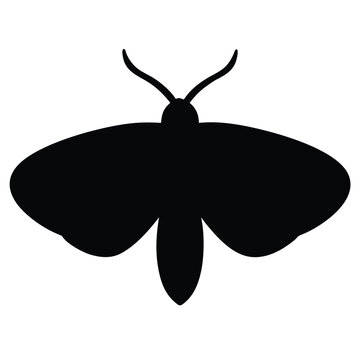 Flat vector illustration of a tiger moth silhouette vector illustration