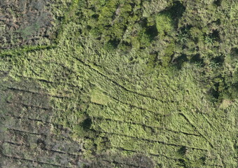 Top View Aerial Photograph