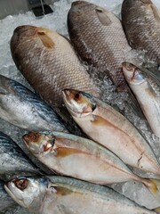 A vibrant mix of fresh fish on a bed of ice, with a variety of sizes, scales, and colors