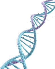 dna strand on white background