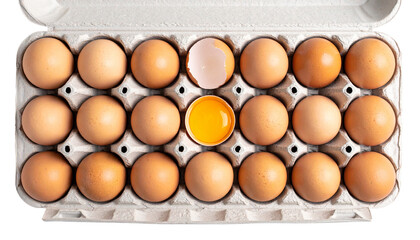 Egg tray on white background
