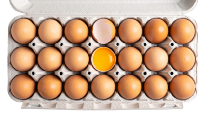 Egg tray on white background
