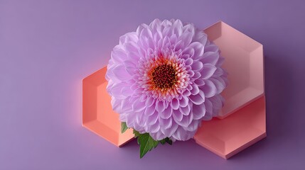 Pink dahlia on pastel hexagons