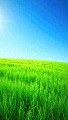 Fototapeta premium Lush green grass, vibrant and healthy, stretches out under a clear blue sky Perfect for spring, summer, or nature themes Ideal for websites and presentations , landscape, lush grass