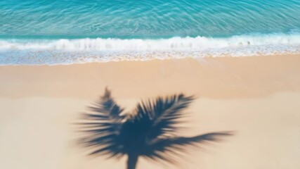 Coastal scenery with a palm tree's dark shape against the sunny background, suggesting serenity and tranquility