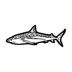 ocean predator shark design