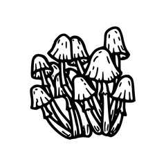 mushroom cluster vector illustration