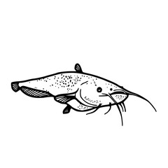 realistic catfish design element