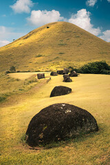 Abandoned pukao, the red topknots or hats of moai statues, on the slopes of the Puna Pau volcano, Rapa Nui (Easter Island), Chile. In this place, pukao were extracted and carved from red scoria.