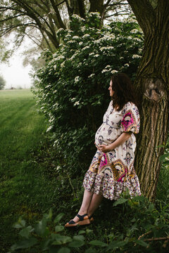 Pregnant Mother in floral dress leans on tree in field with green