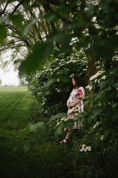 Pregnant woman leans against a tree outside in nature with flowers