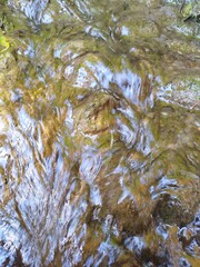 Textured photo, close-up of a shallow, gurgling stream's water surface, showing algae-covered stones in the bed, reflecting a sky blue.
