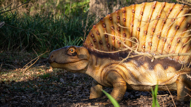 Dimetrodon dinosaur reptile sail back creature history prehistoric model park nature forest permian period predator wild extinct animal carnivore sun