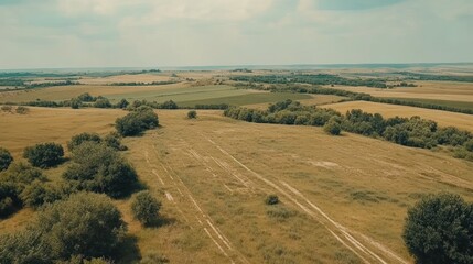 Fototapeta premium Golden rural landscape aerial view