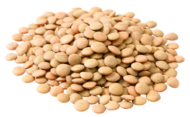 Small heap of uncooked brown lentils isolated on white background.