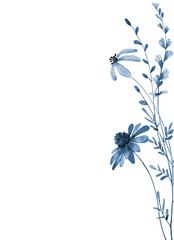 Floral background with blue flowers for greeting card, invitation and other printing design. Isolated on white. Hand drawing.