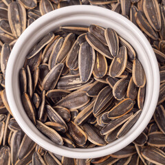 Big sunflower seeds in a shell in a round plate, top view