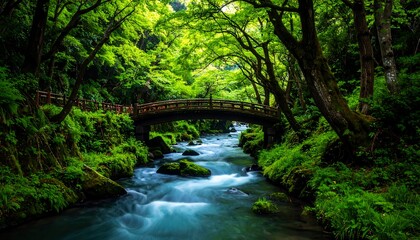 Obraz premium Lush forest stream with an arching bridge