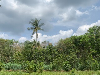 clear clouds during the day sky