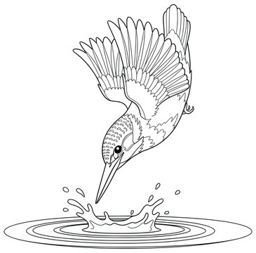 Bird coloring page showing a kingfisher in mid-dive with wings spread wide and beak pointed toward a splash of water in a clean cartoon-style black and white outline drawing