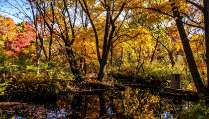 Autumn forest reflected in a still pond