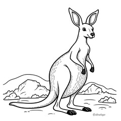 kangaroo white backround 