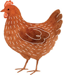 Vector Freehand minimalistic watercolor illustration of a chicken isolated on a white background. Hand drawn a child's  watercolour drawing of a ornament chick. Farm animal for design. © Julia