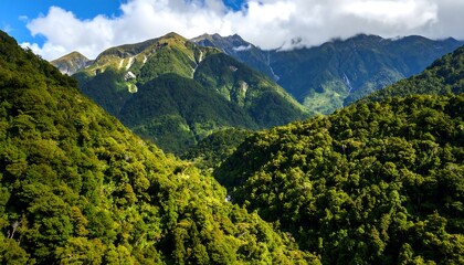 Lush mountain valley