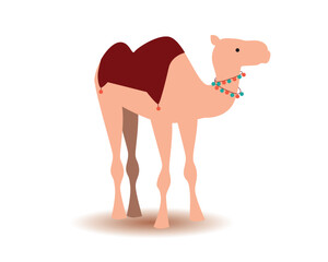 Traditional arabian camel isolated on white, flat vector stock illustration with standing camel