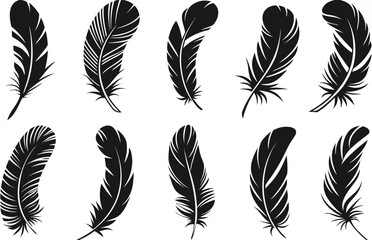 Elegant black feather silhouettes arranged beautifully on a clean white background for design purposes.