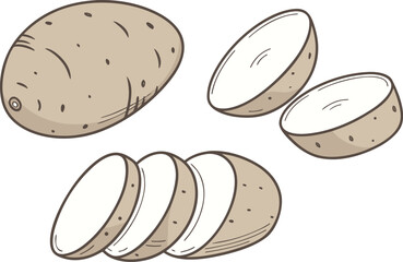 Original Potato Set Illustration. Fresh Potato Collection Design. Raw Whole and Sliced Potato Art. Organic Potato Food Set Graphic. Potato Group with Natural Color. Healthy Farm Potatoes Drawing