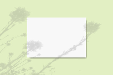 Natural light casts the shadow of wildflowers on a horizontal sheet of textured white paper on a green table background. Mockup