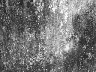 Aged cement wall with grunge texture. Black and white rough surface overlay.