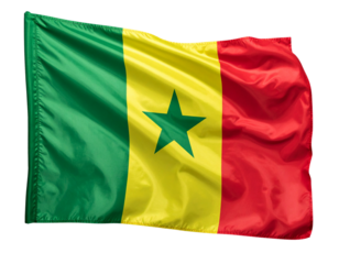 Senegal Flag Flowing Gently with Crisp Fabric Texture and Natural Light