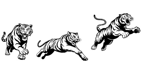 set of tigers silhouette isolated on white background.