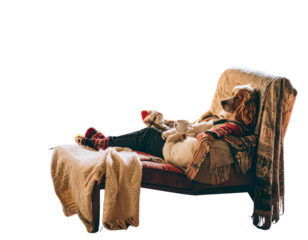  Silhouette of Graduates Tossing Caps in the Air