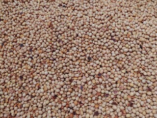 Fresh soybean seeds background with natural texture. Soya beans, dry soybean grains, soybean. Closeup of raw soya beans used for food and agricultural products.