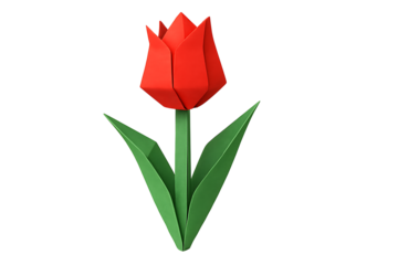 Red origami tulip isolated on transparent background