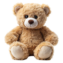Plush Teddy Bear Isolated on White Background