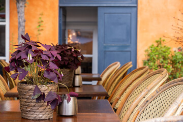Restaurant tables with flowers in the foreground. The setting suggests an elegant and inviting dining experience, possibly outdoors or in a cafe. The details create a cozy and romantic atmosphere.